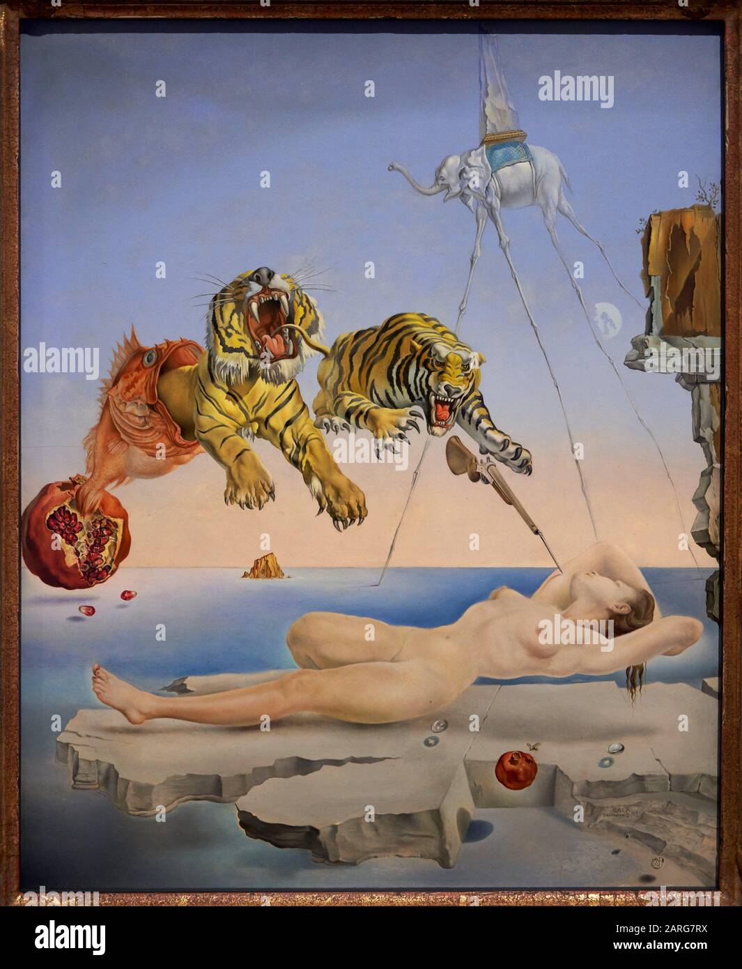 '''Dream Caused by the Flight of a Bee around a Pomegranate a Second before Waking up'', 1944, Salvador Dalí (1904-1989) Stock Photo