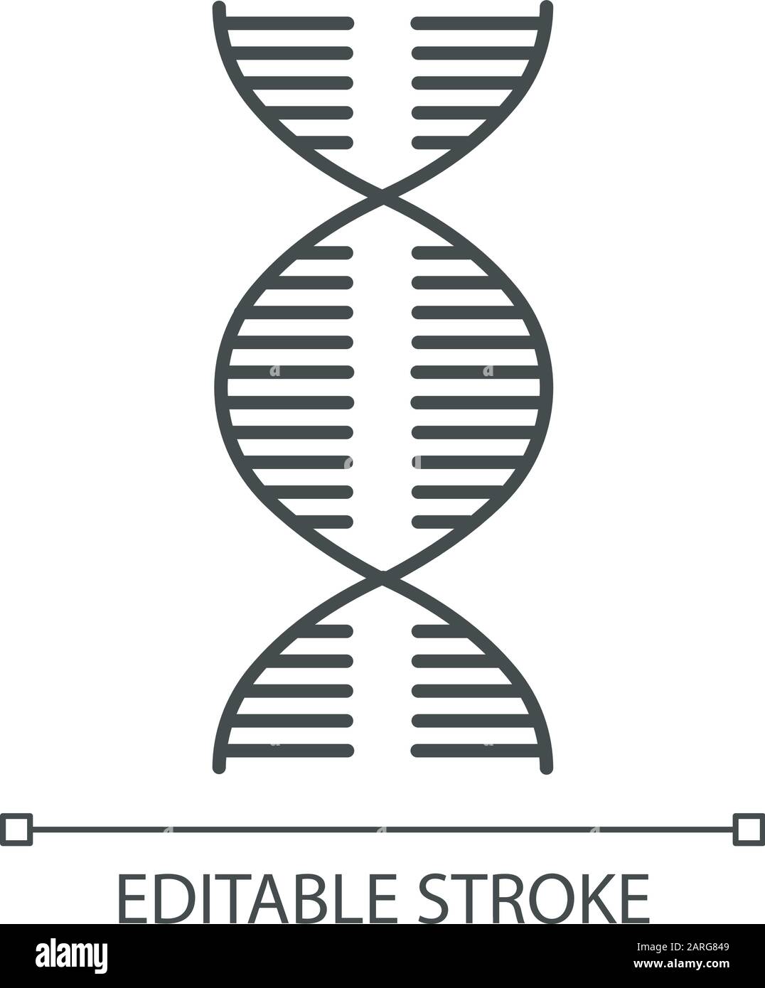 DNA spiral linear icon. Deoxyribonucleic, nucleic acid helix. Molecular
