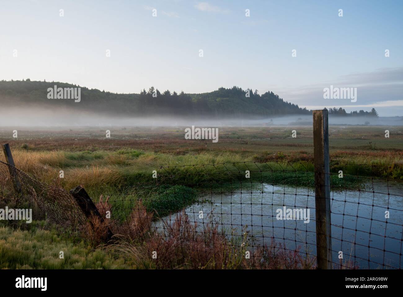 Early foggy morning in the Pacific Northwest with an old wire fence around a pond. Stock Photo
