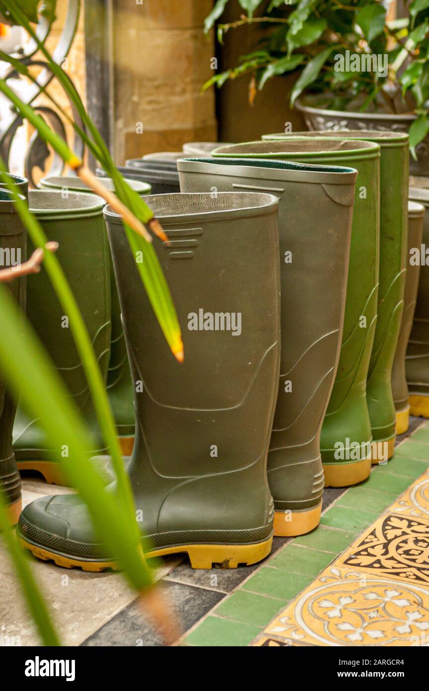 Green Wellington boots arranged on tiled floor Stock Photo - Alamy