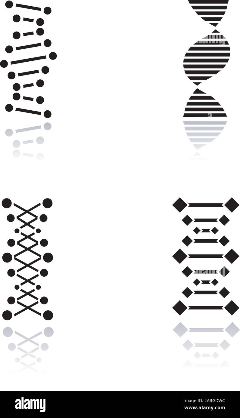 DNA chains drop shadow black glyph icons set. Deoxyribonucleic, nucleic acid helix. Spiraling strands. Chromosome. Molecular biology. Genetic code. Ge Stock Vector
