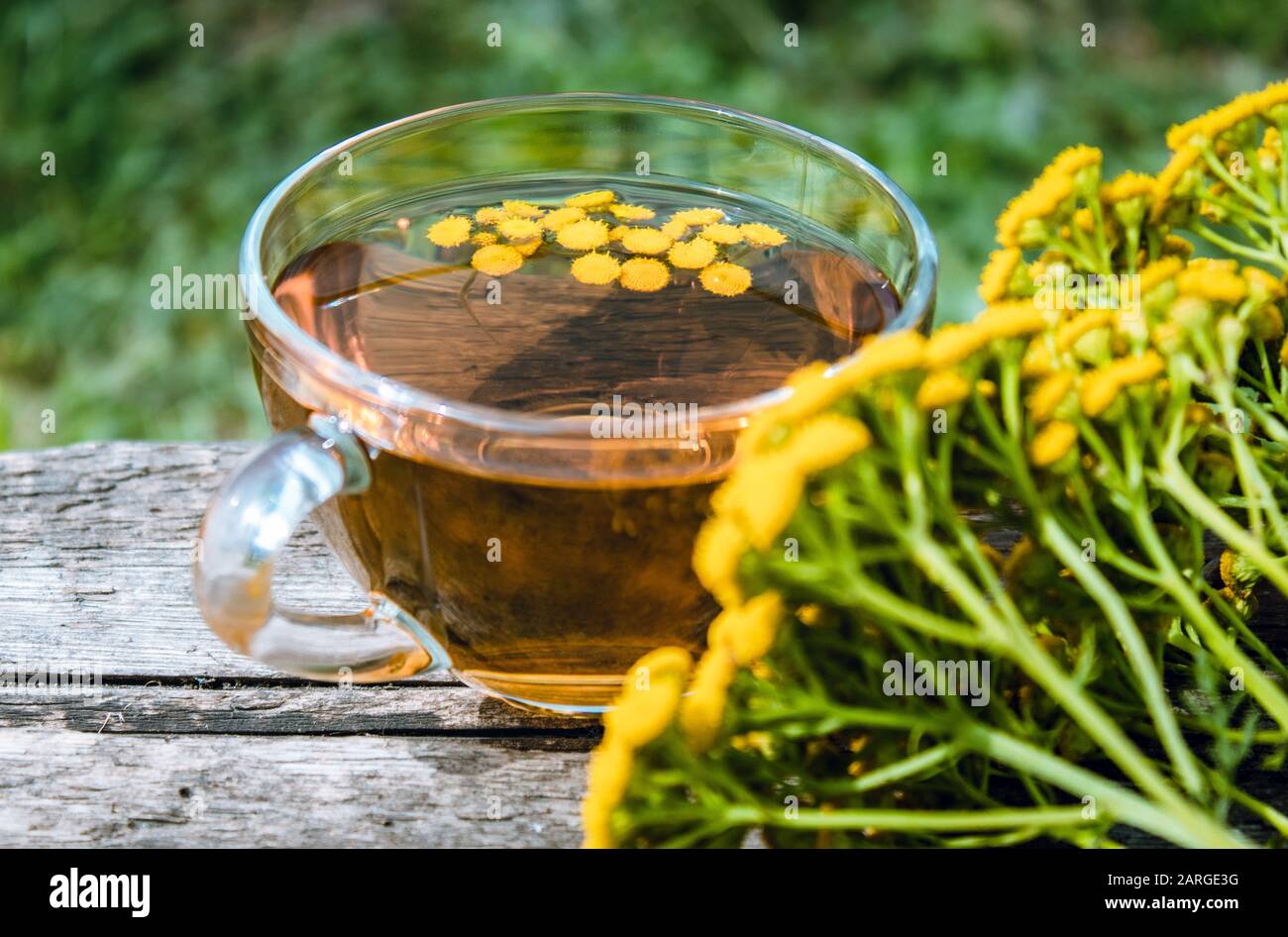 Tancy Tea Phyto Therapy High Resolution Stock Photography and Images - Alamy