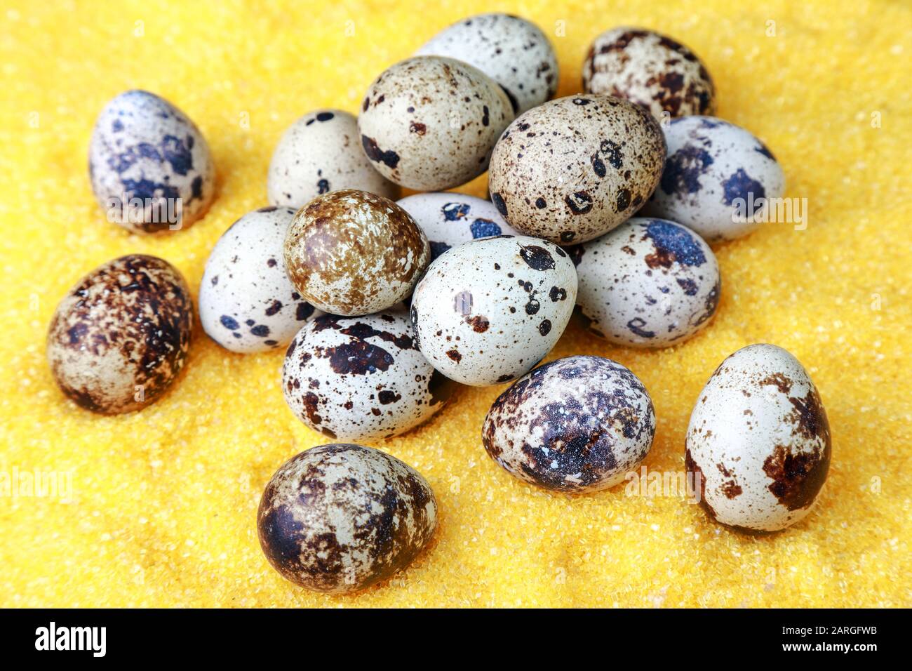 many fresh eggs for cooking Stock Photo