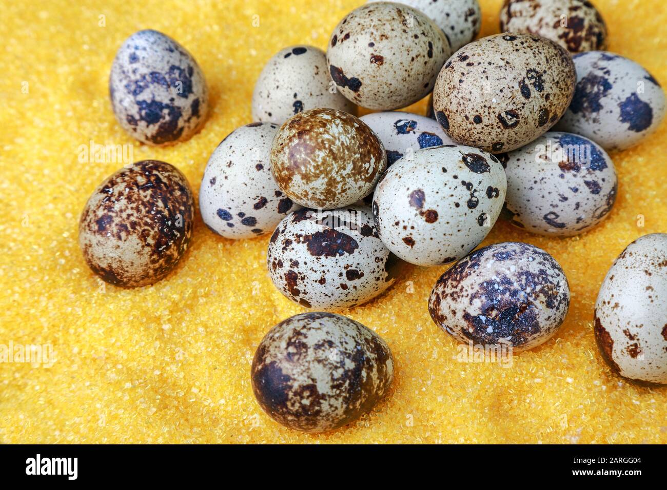 many fresh eggs for cooking Stock Photo
