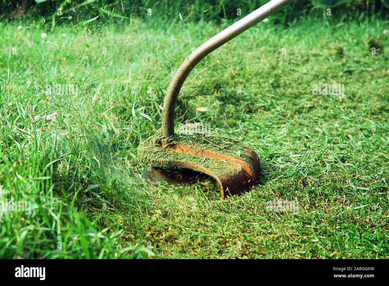 Hand held grass trimmer mowing green lawn. Grass shreds flying around the gardening tool. Stock Photo