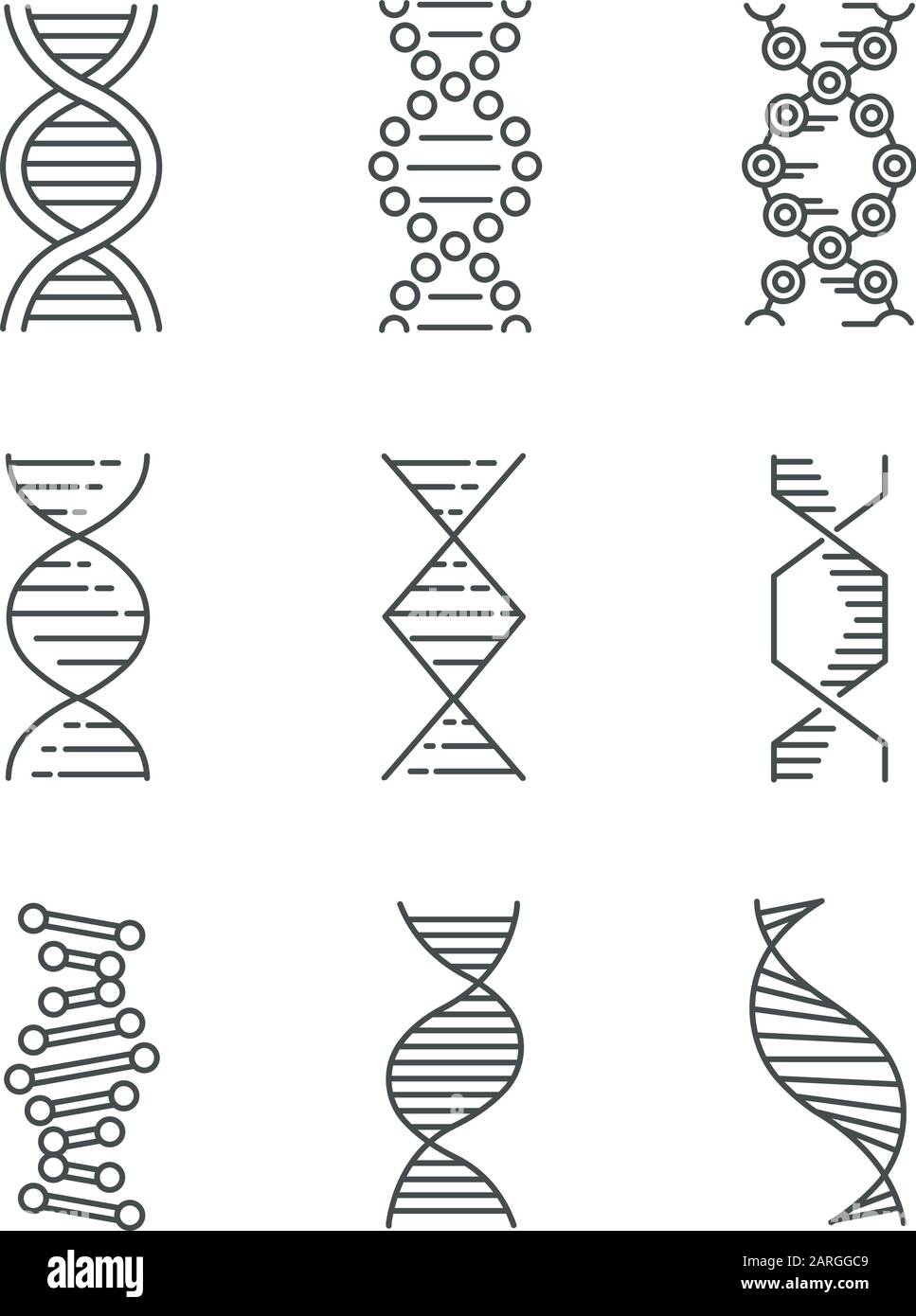 DNA spirals linear icons set. Deoxyribonucleic, nucleic acid helix. Molecular biology. Genetic code. Genetics. Thin line contour symbols. Isolated vec Stock Vector