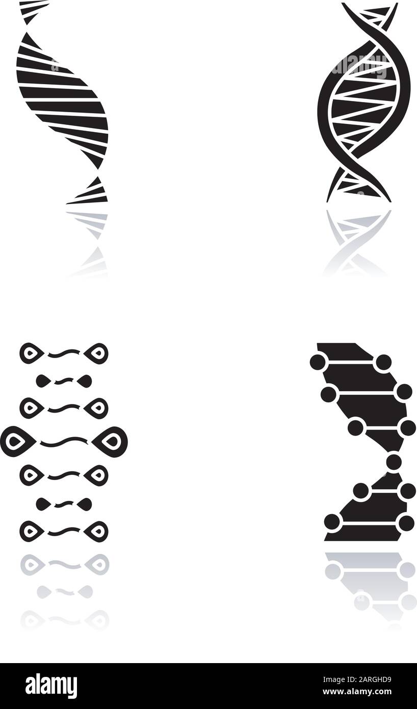 DNA strands drop shadow black glyph icons set. Deoxyribonucleic, nucleic acid helix. Spiraling strands. Chromosome. Molecular biology. Genetic code. G Stock Vector