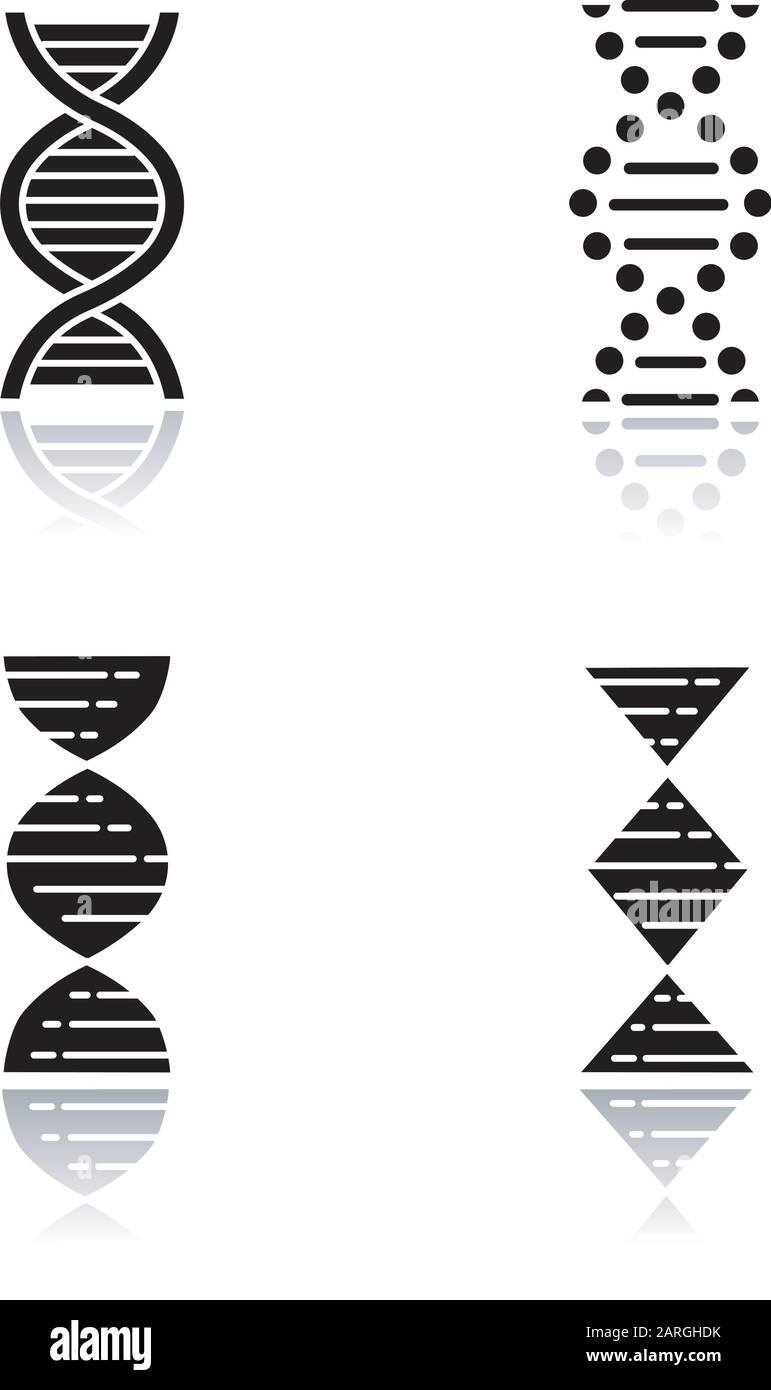 DNA spiral strands drop shadow black glyph icons set. Deoxyribonucleic, nucleic acid helix. Spiraling strands. Chromosome. Molecular biology. Genetic Stock Vector