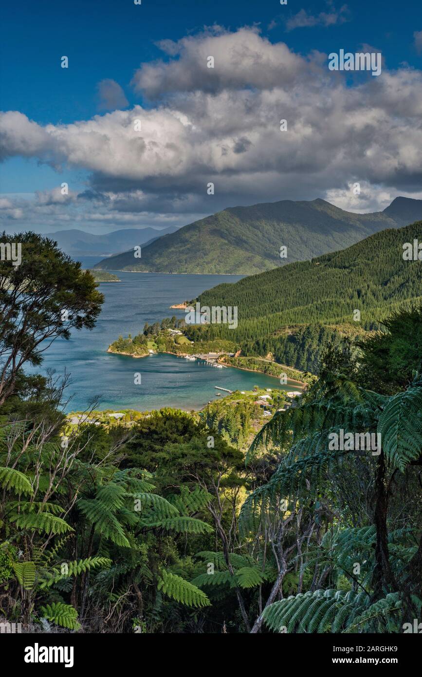 Village of Elaine Bay, view from rainforest at Croisilles French Pass Road, Marlborough Sounds Maritime Park, South Island, New Zealand Stock Photo