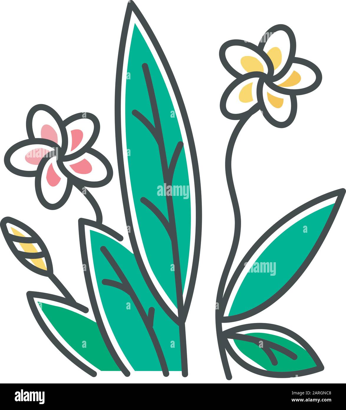 Plumeria pink and yellow color icon. Exotic region flowers. Flora of Indonesian jungles. Small tropical plants. Blossom of frangipani with leaves. Nat Stock Vector