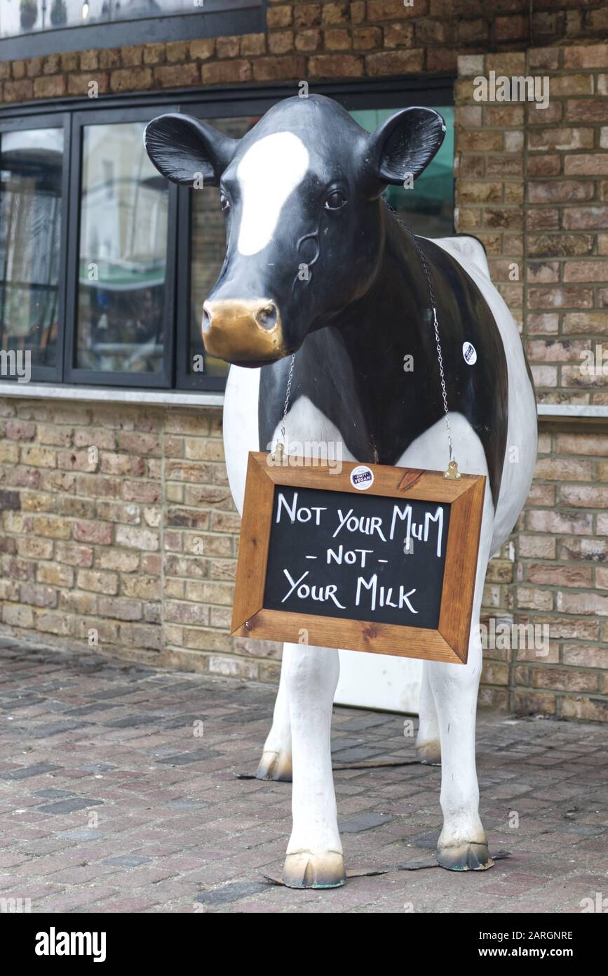 not your mum, not your milk, sign on a life sized cow statue Stock Photo
