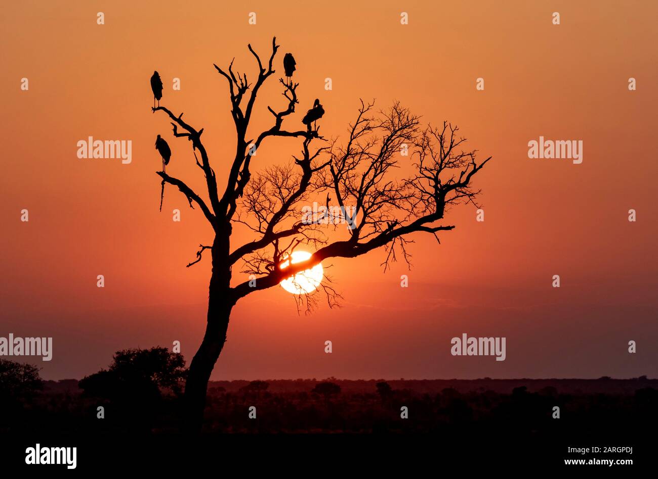 Canon sunset hi-res stock photography and images - Alamy