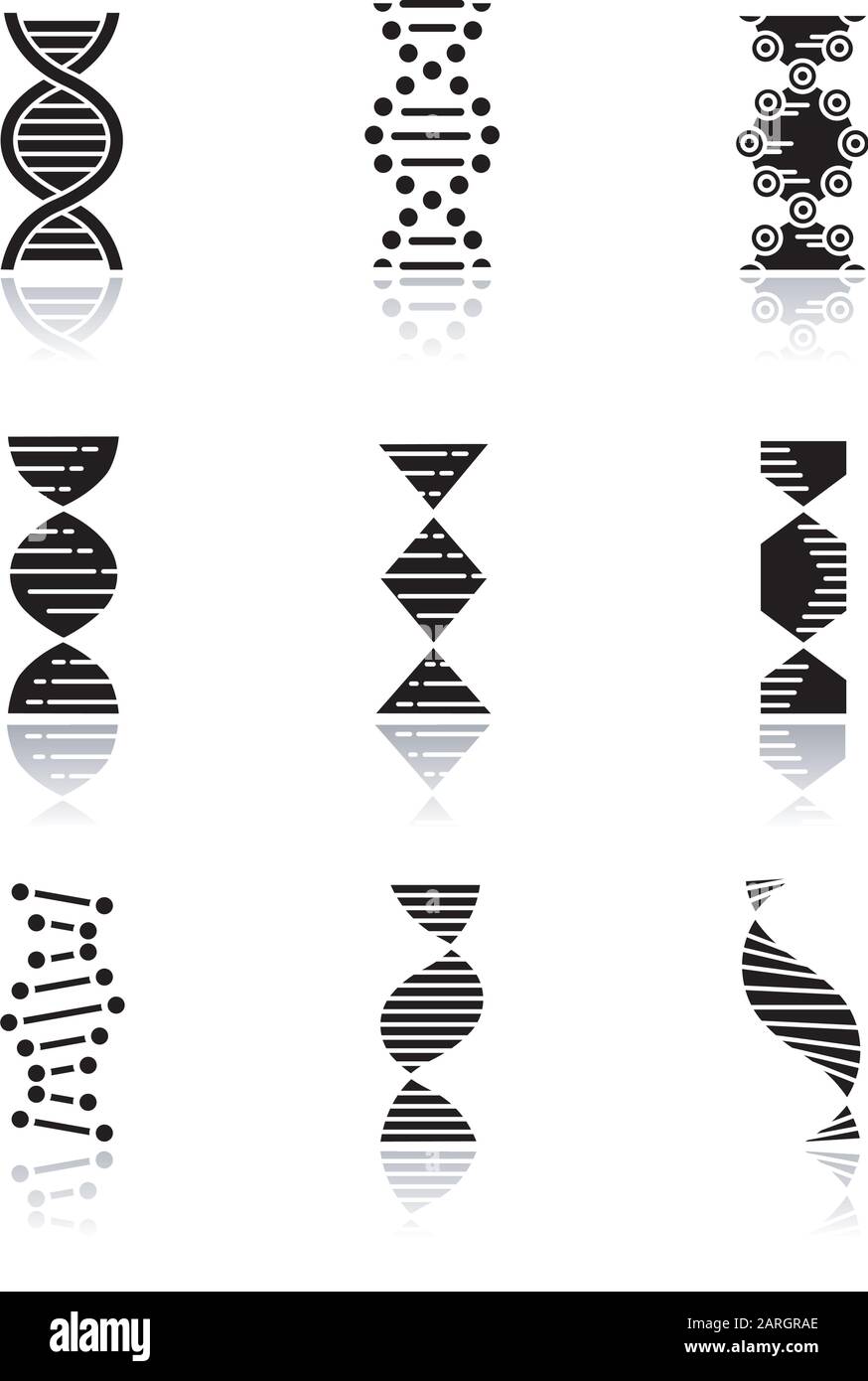 DNA spirals drop shadow black glyph icons set. Deoxyribonucleic, nucleic acid helix. Spiraling strands. Chromosome. Molecular biology. Genetic code. G Stock Vector