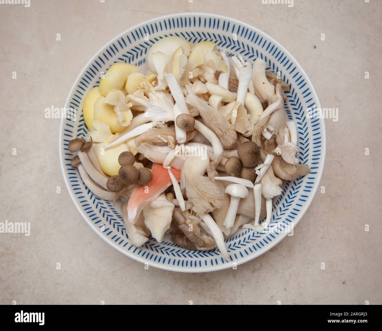 Edible raw mushrooms Stock Photo