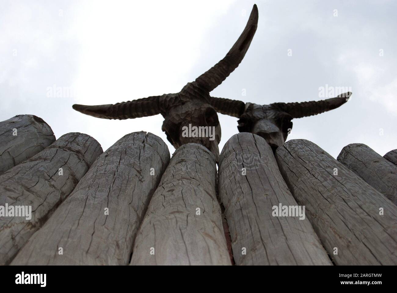 Horned cattle skulls made of wood looking over hight fence Stock Photo