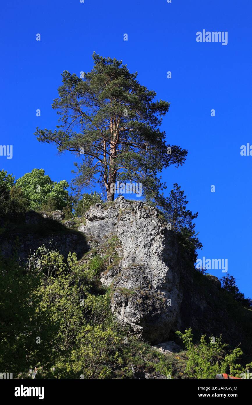 Landschaft am Kleinziegenfelder Tal, Naturschutzgebiet, Weismain, Landkreis Lichtenfels, Oberfranken, Bayern, Deutschland  /  Landscape at Kleinziegen Stock Photo