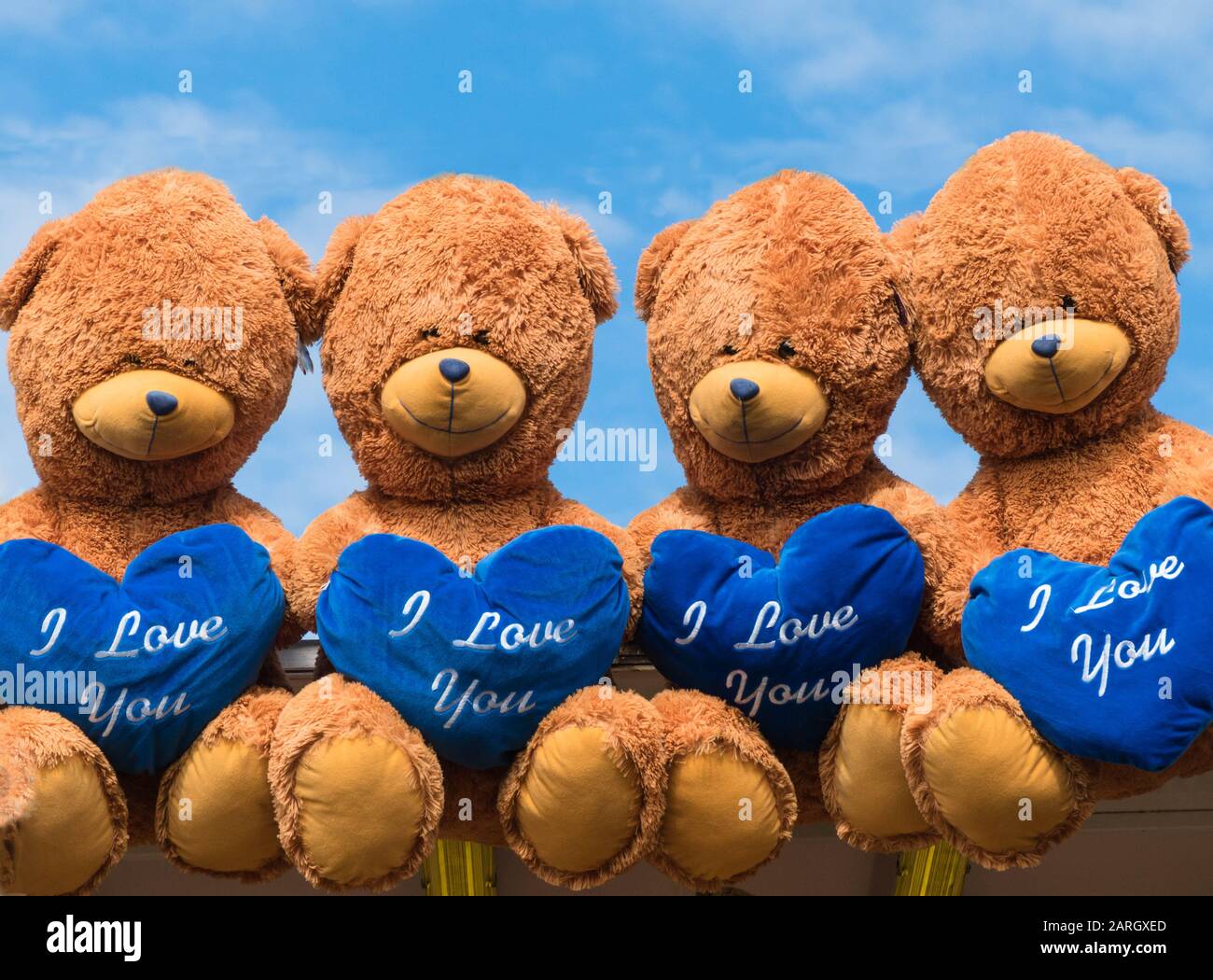 Brown Teddy Bear With Blue Ribbon In Blur Background HD Teddy Bear  Wallpapers | HD Wallpapers | ID #69517