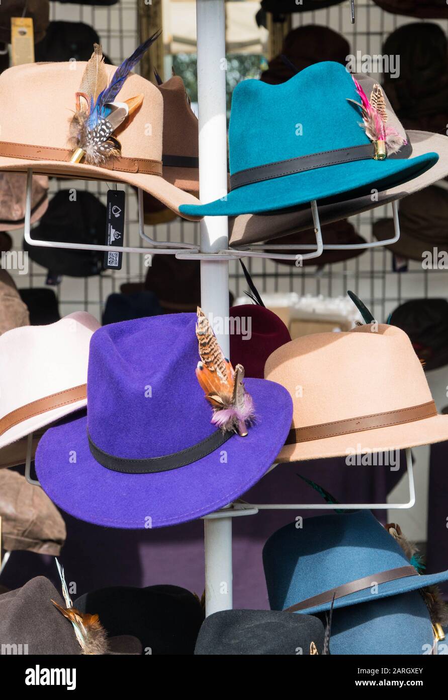 Ladies hats feathers hi-res stock photography and images - Alamy