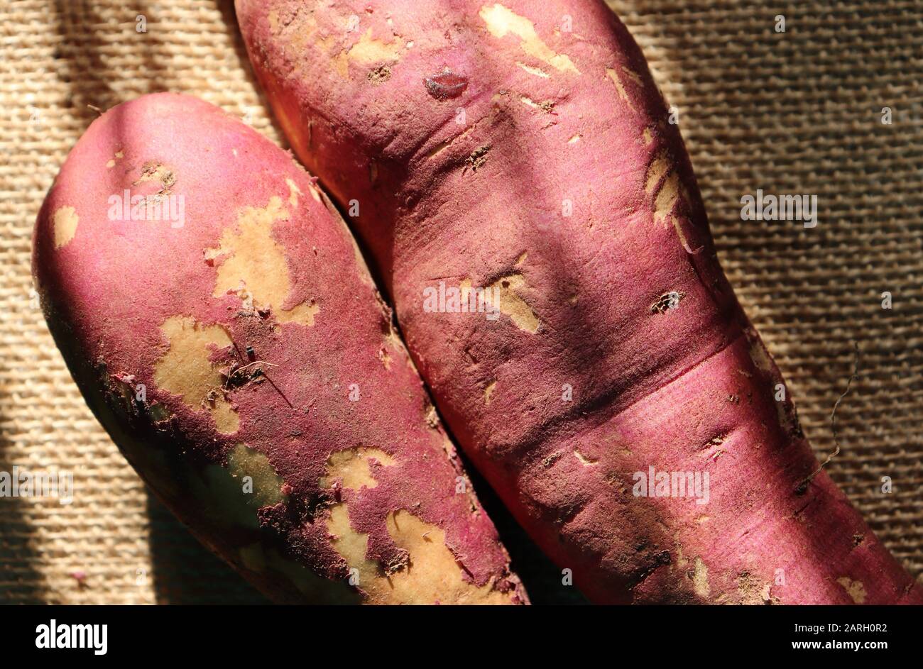 Close-up of fresh sweet potato on a jute cloth Stock Photo