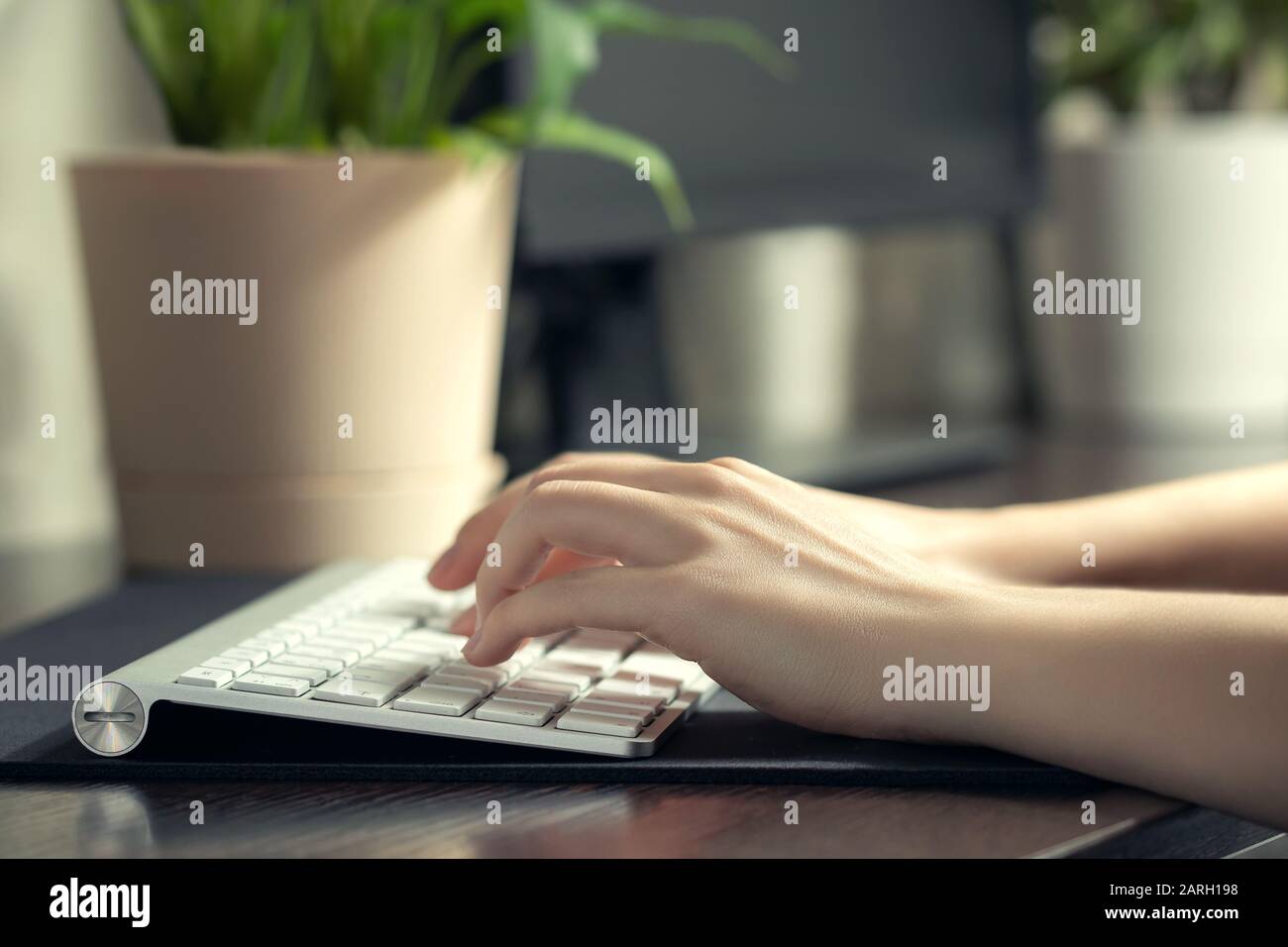 Girl works at home at the computer. Female hands are typing on the keyboard. Stock Photo