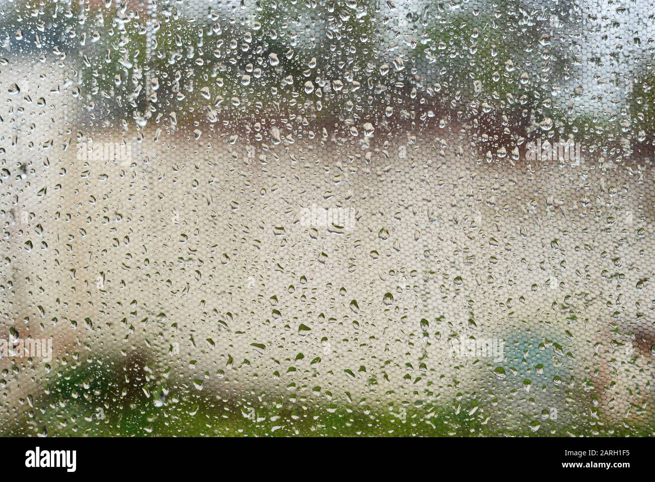 Regenwetter Fenster mit Regentropfen und Insektengitter Stock Photo