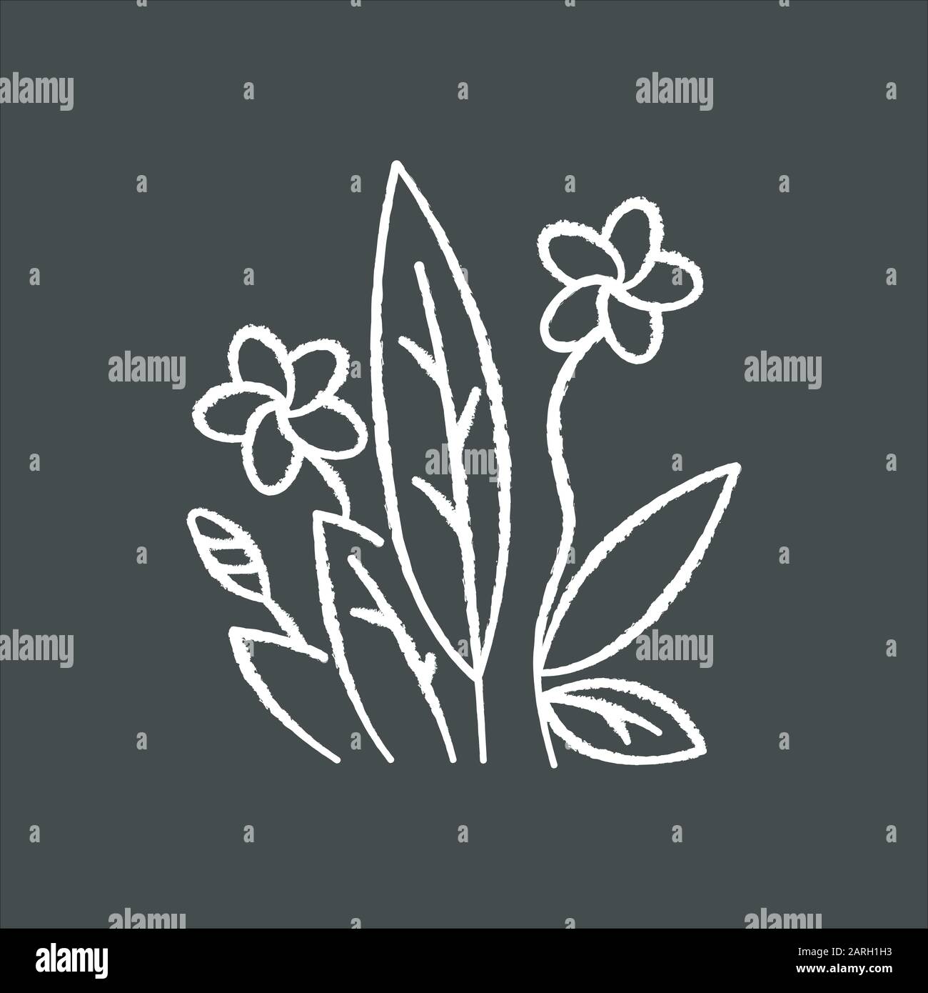 Plumeria chalk icon. Exotic region flowers. Flora of Indonesian jungles. Small tropical plants. Blossom of frangipani with leaves. Nature of Bali. Iso Stock Vector