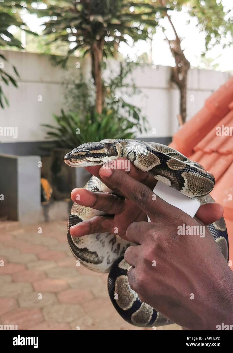 OUIDAH , BENIN Stock Photo