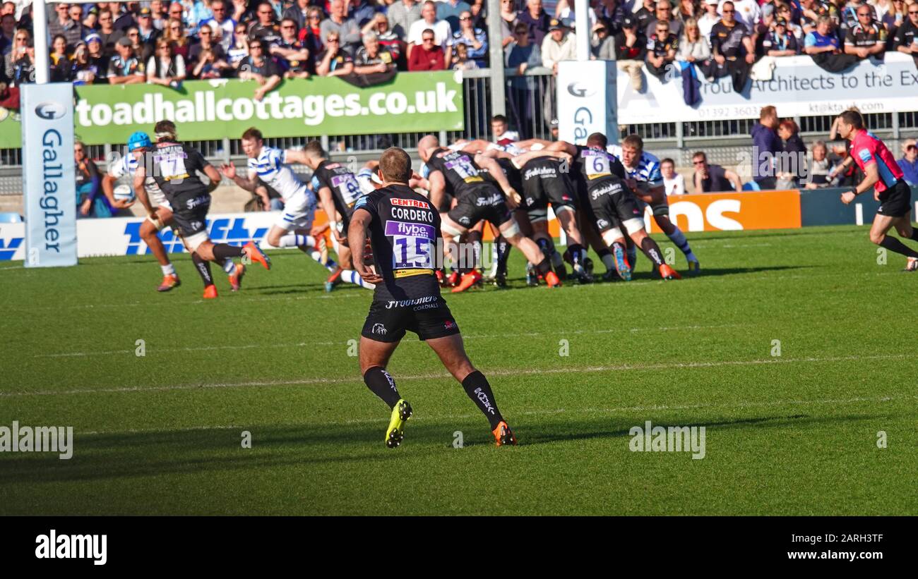 Exeter chiefs rugby team hires stock photography and images Alamy