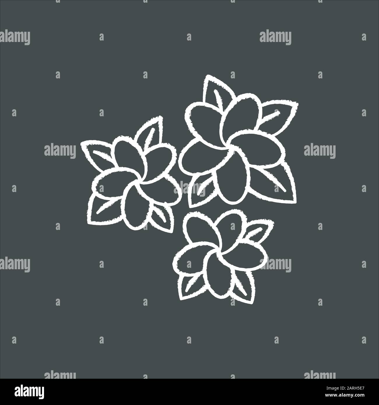 Plumeria chalk icon. Three exotic region flowers. Flora of Indonesian jungles. Small tropical plants. Blossom of frangipani with leaves. Nature of Bal Stock Vector