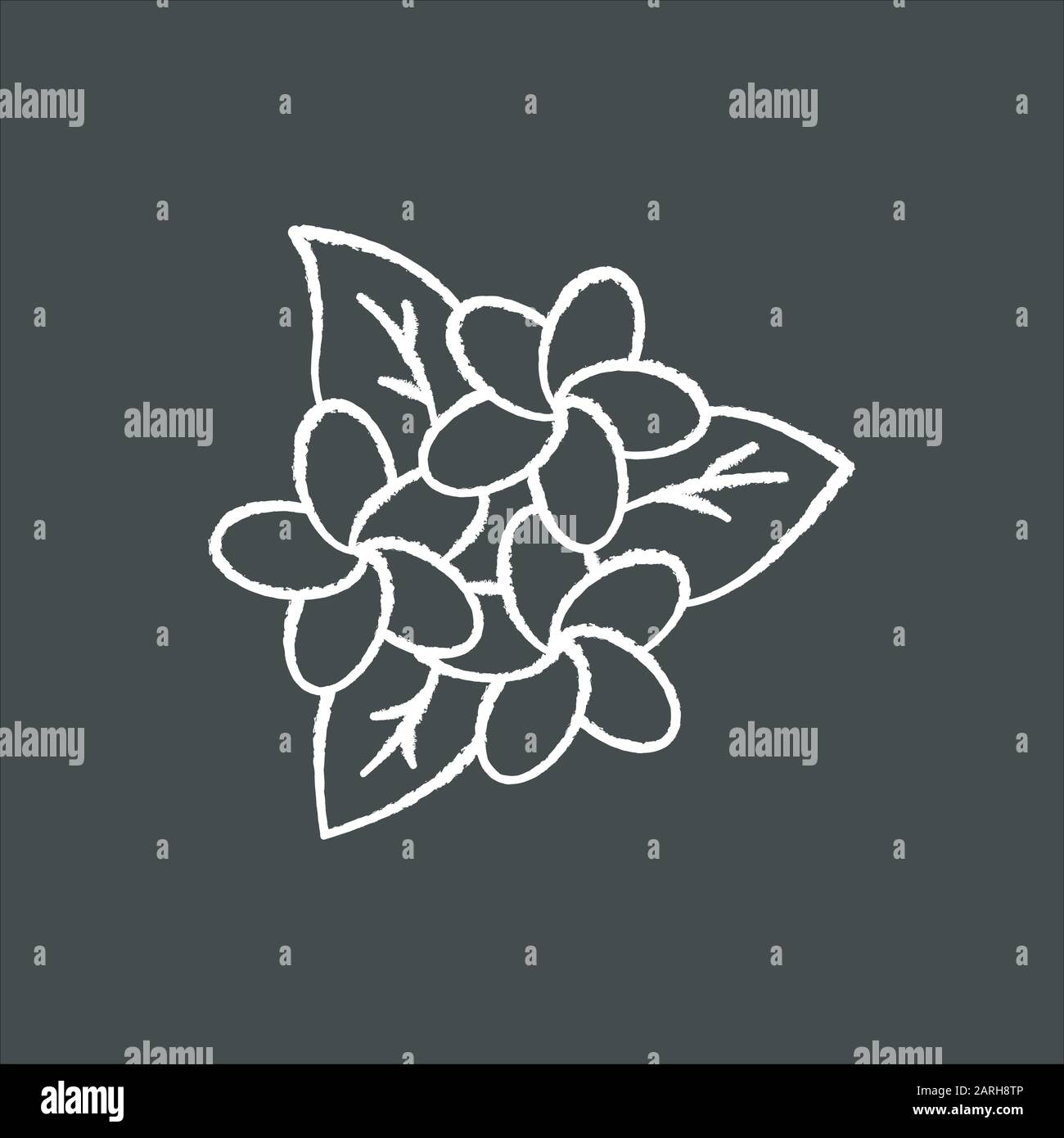 Plumeria inflorescence chalk icon. Exotic region flowers. Flora of Indonesian jungles. Small tropical plants. Blossom of frangipani with leaves. Natur Stock Vector