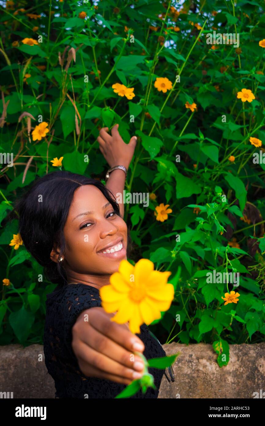 Black Girl Holding A Sunflower Toward The Camera Smiling Reaching Back To Pick Another Flower Stock Photo Alamy Black Girl Holding A Sunflower Toward The Camera Smiling Reaching Back To Pick Another Flower Stock Photo Alamy