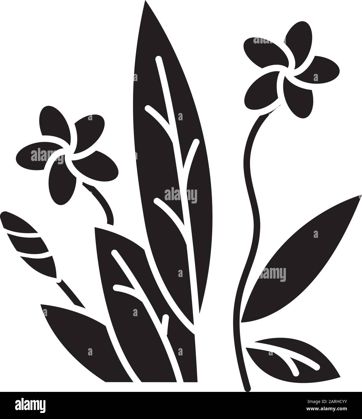 Plumeria Glyph Icon Exotic Region Flowers Flora Of Indonesian Forests Small Tropical Plants Blossom Of Frangipani With Leaves Silhouette Symbol Stock Vector Image Art Alamy
