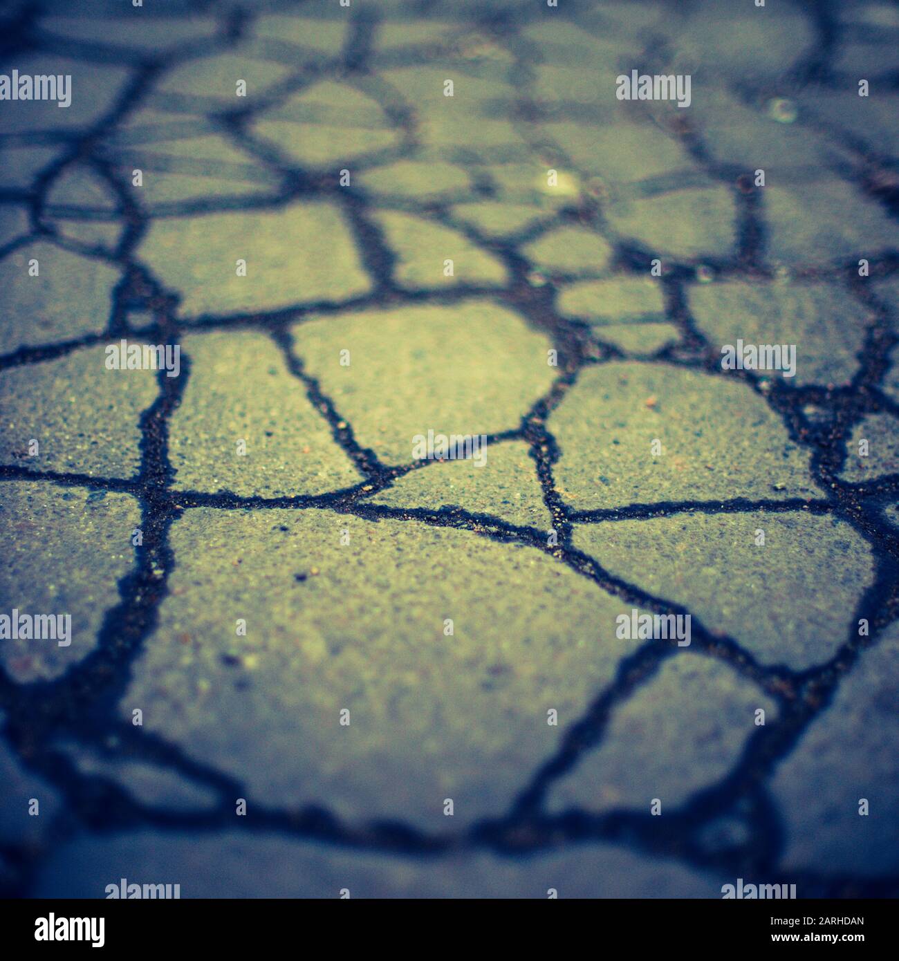 Old asphalt road surface in cracks. Stone texture Stock Photo