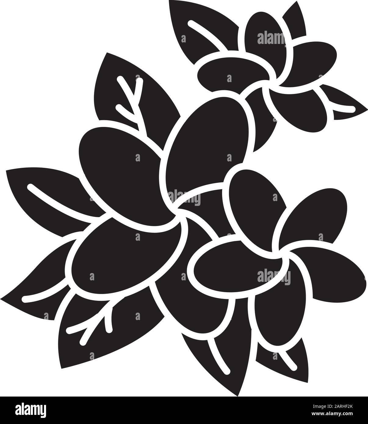 Plumeria glyph icon. Exotic region flowers. Nature of Indonesian