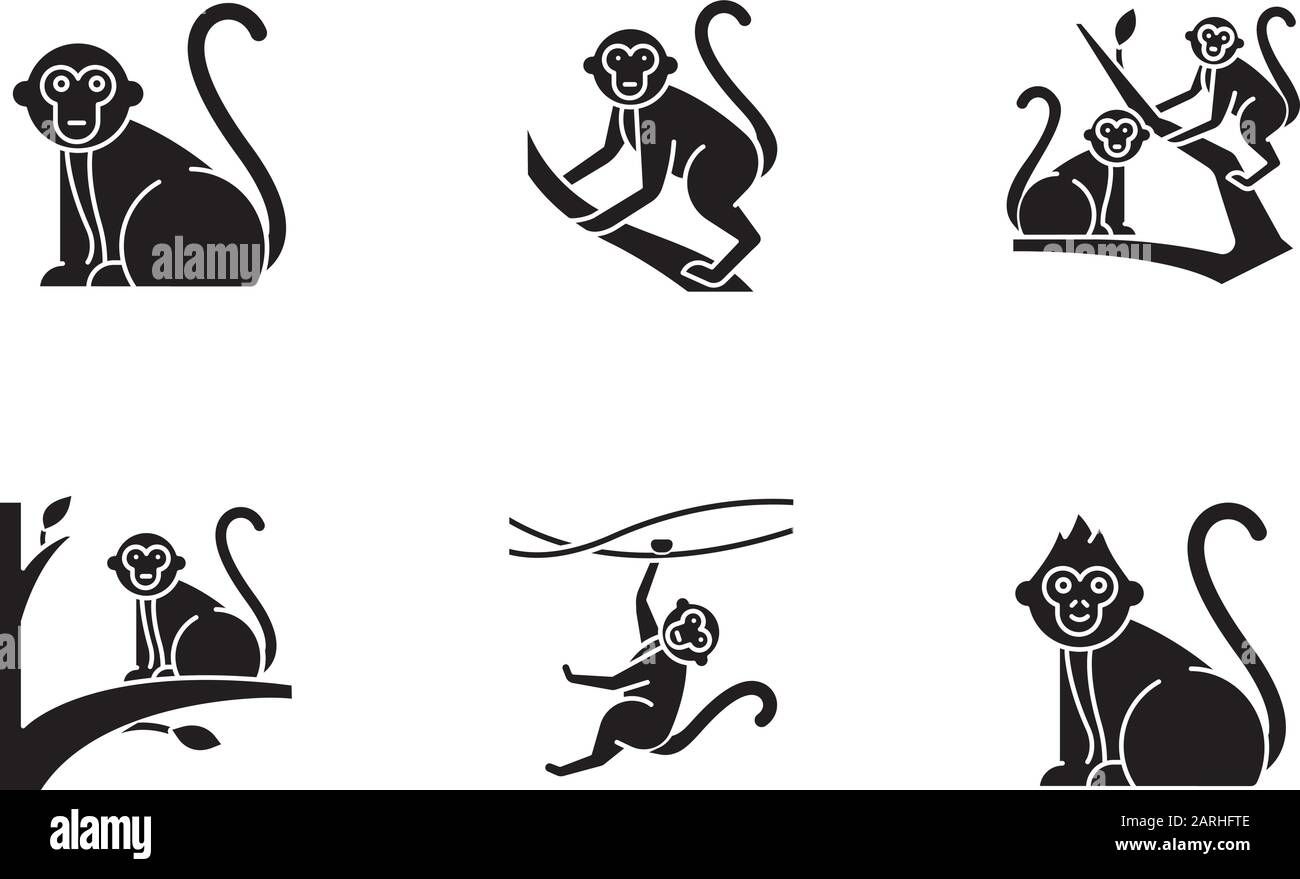 Monkeys in wild glyph icons set. Tropical animals on trees. Exploring exotic Indonesian wildlife. Primate sitting. Visiting Balinese forest fauna. Sil Stock Vector