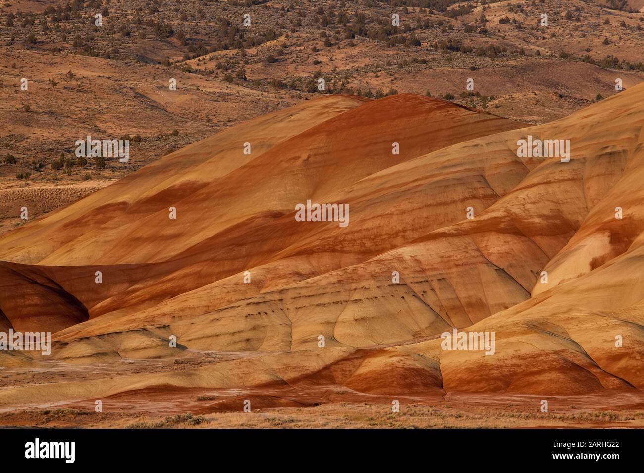 Beautiful layers of color at Painted Hills - one of the three units of the John Day Fossil Beds National Monument in Oregon Stock Photo