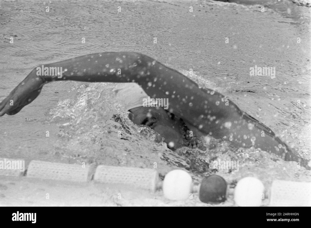 Number 17a klenie bimolt hires stock photography and images Alamy