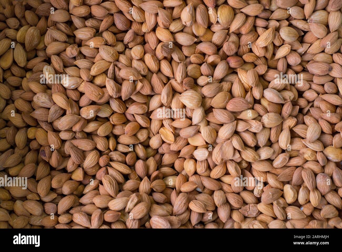 Group of nuts isolated on white background almond nuts top view