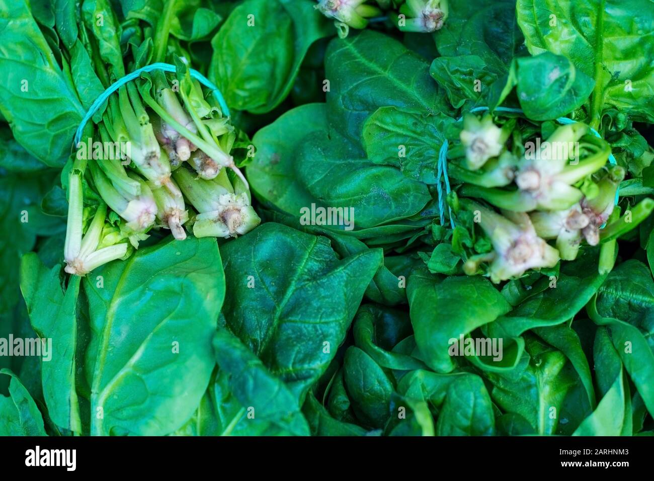 fresh green leaves spinach or pak choi Close-up Fresh Casting Spinach Zi By The Counter Of A Store. Healthy and natural vegetarian food. Vitamin Salad Stock Photo