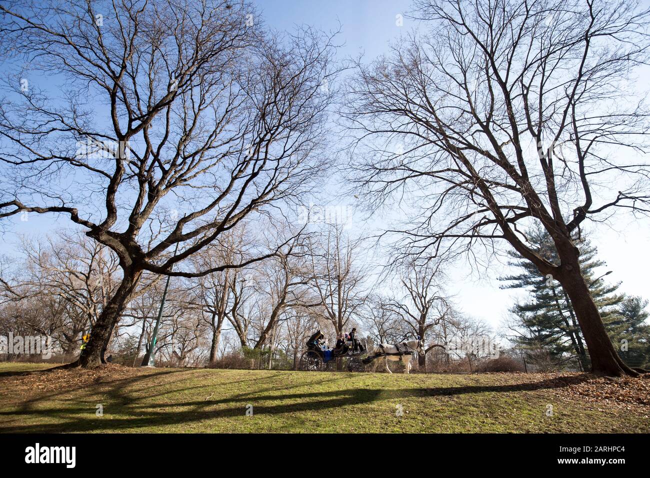 Horse and carriage central park hi-res stock photography and images - Alamy