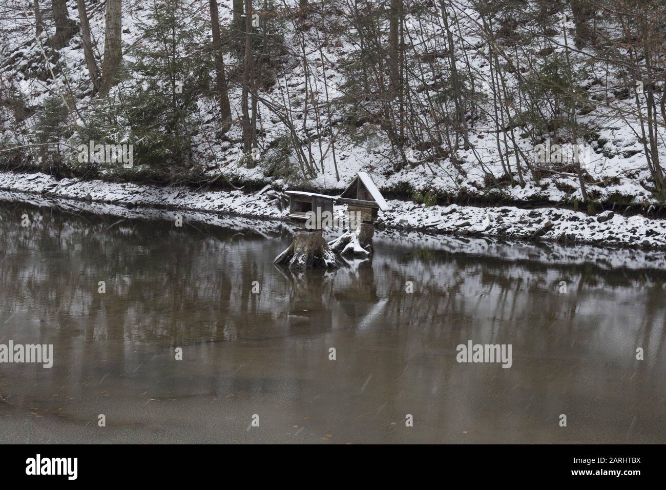 Snow and pond in winter and feeders for ducks and reflection Stock Photo