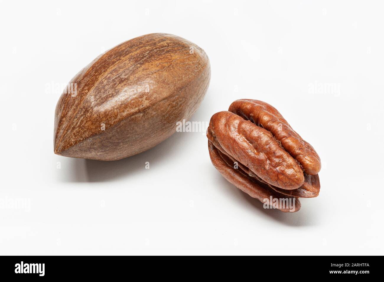 Pecan nut isolated on white background. Carya illinoinensis Stock Photo