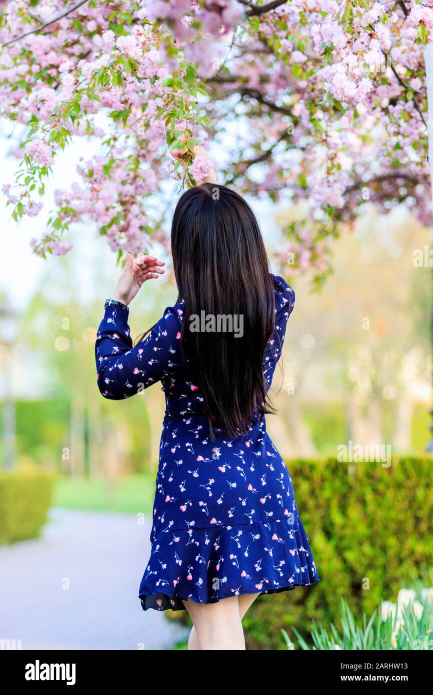 girl in a beautiful dress and sakura flowers Stock Photo - Alamy