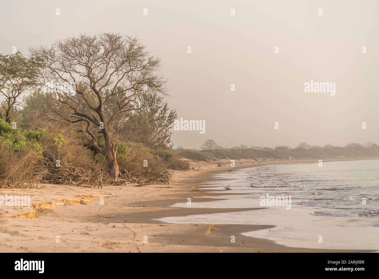 Sandstrand auf der Insel Jinack Island, Gambia, Westafrika  | Jinack Island beach, Gambia, West Africa, Stock Photo