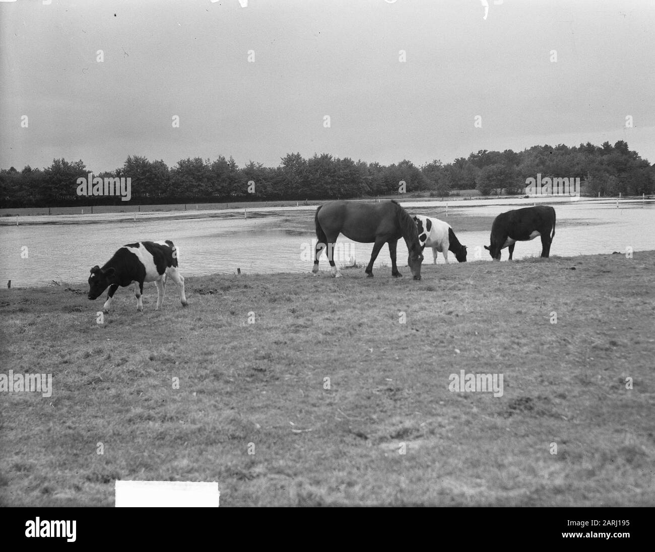 Barneveld Black and White Stock Photos & Images Alamy