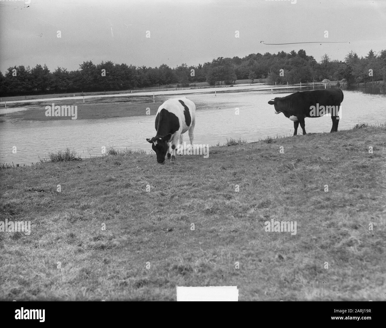 Barneveld Black and White Stock Photos & Images Alamy