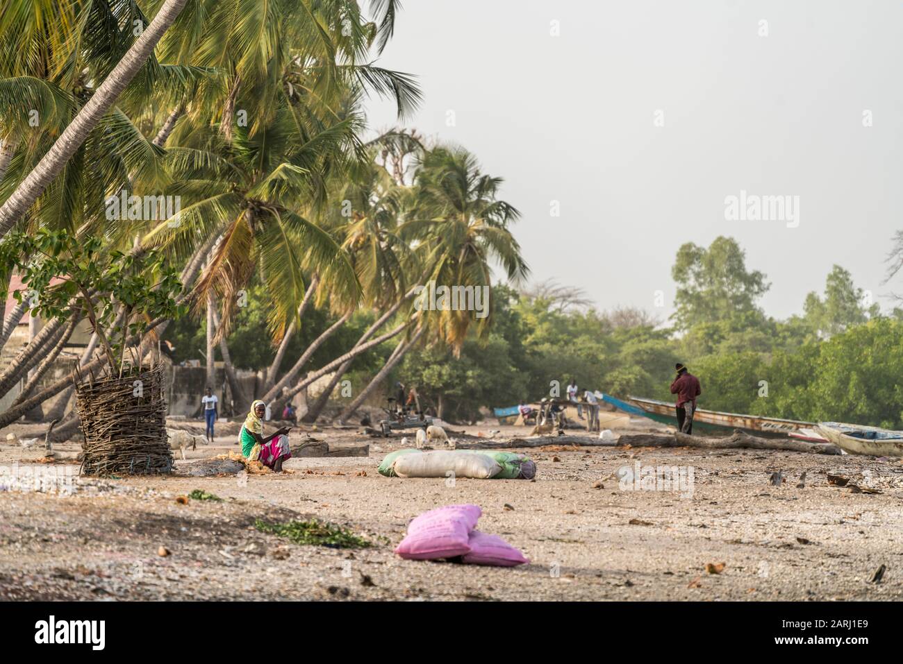 Palmen am Flussufer beim Dorf Kajata , Insel Jinack Island, Gambia, Westafrika  |  palm trees at the river shore near Kajata village, Jinack Island, G Stock Photo