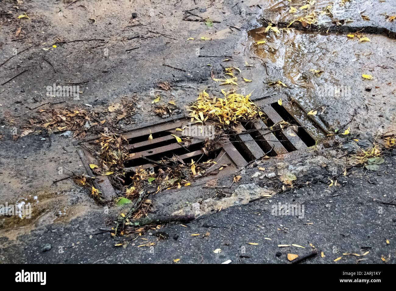 Asphalt hatch with yellow leaves and flowing water close up Stock Photo