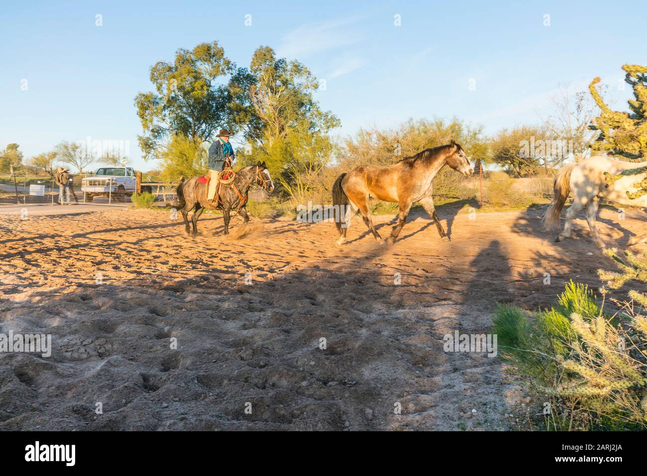 Cowboy wrangler riding in ranch hi-res stock photography and images - Alamy