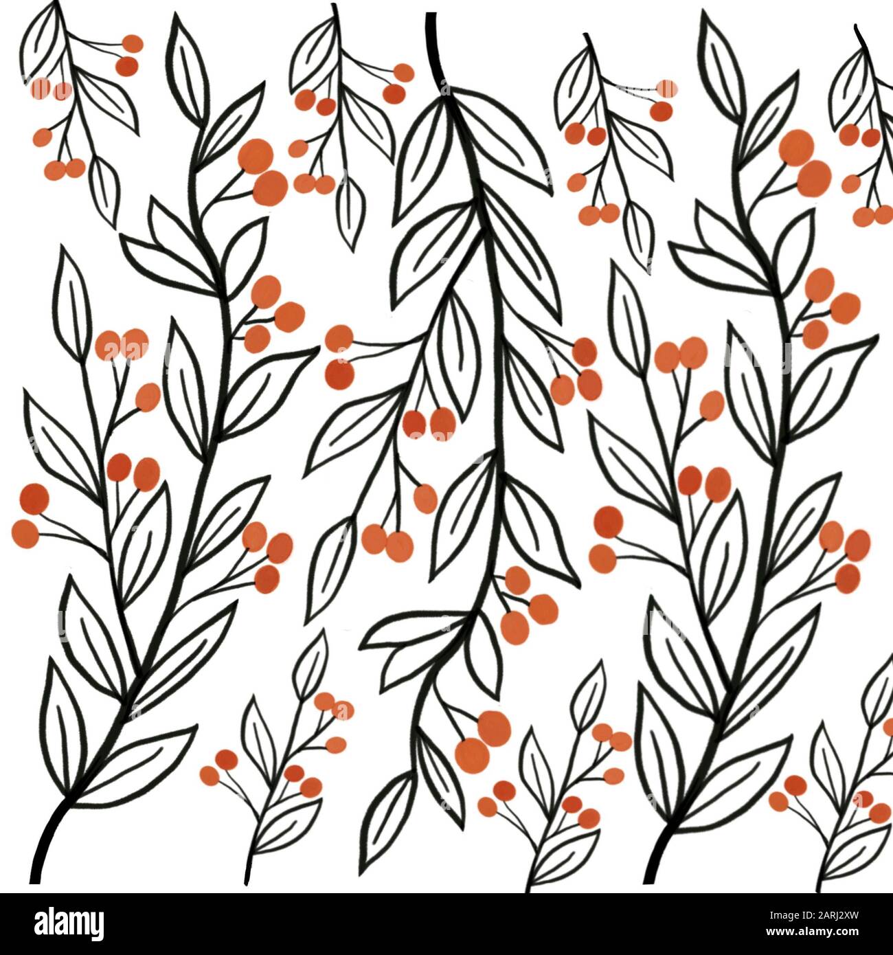 Image of red berries with leaves on a white background Stock Photo - Alamy